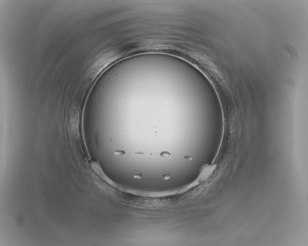 X0000116561273200912101442