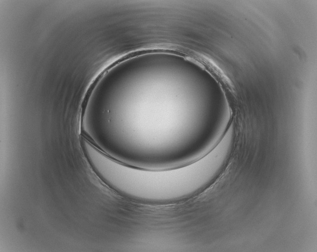 X0000116561276200912101442