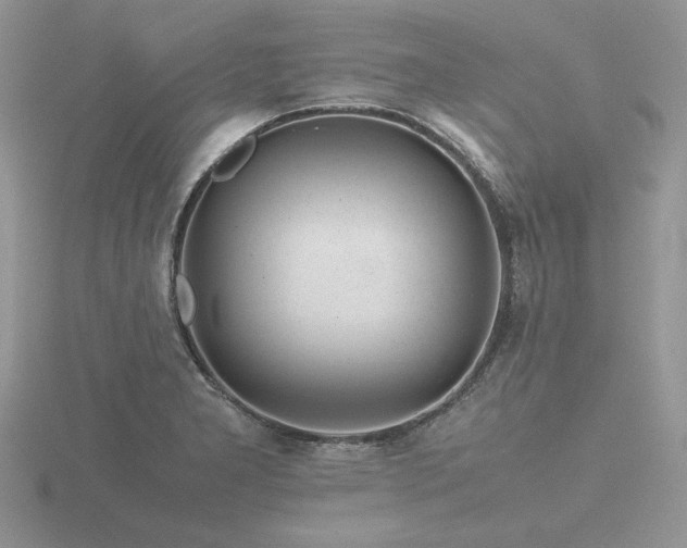 X0000116561277200912101442