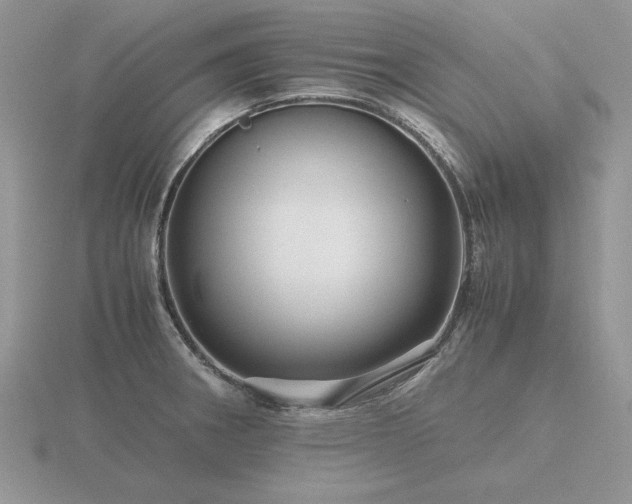 X0000116561282200912101442