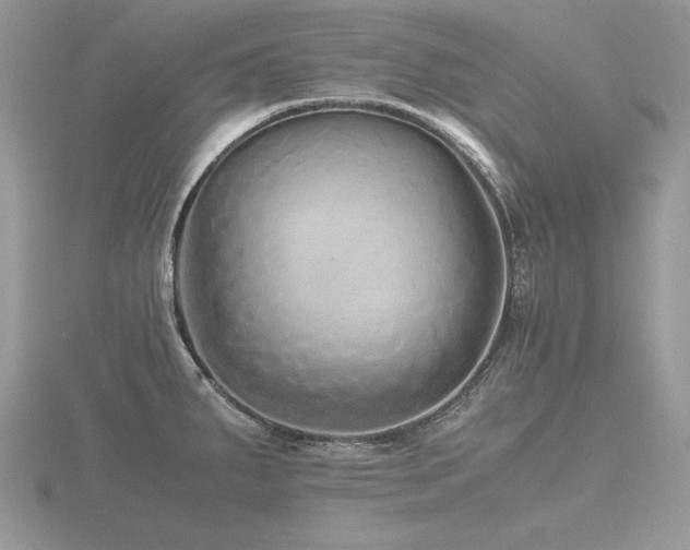 X0000116561287200912101442