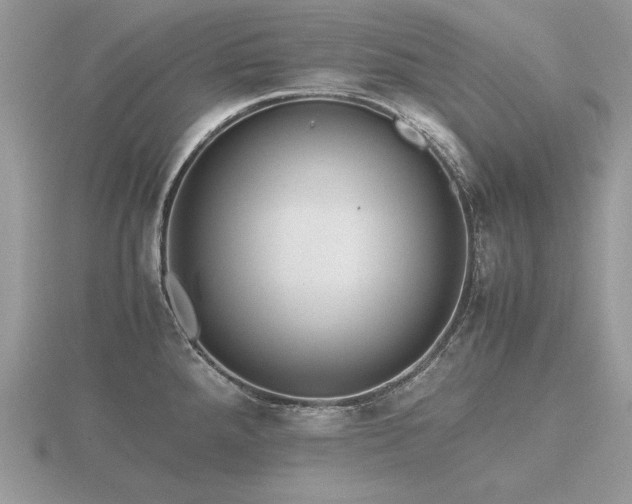 X0000116561288200912101442