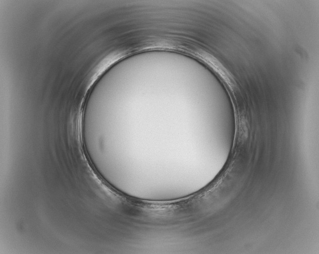 X0000116561290200912101442
