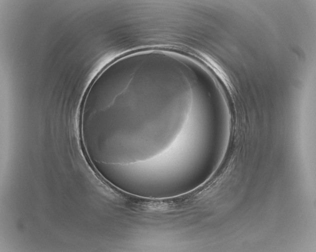 X0000116561291200912101442