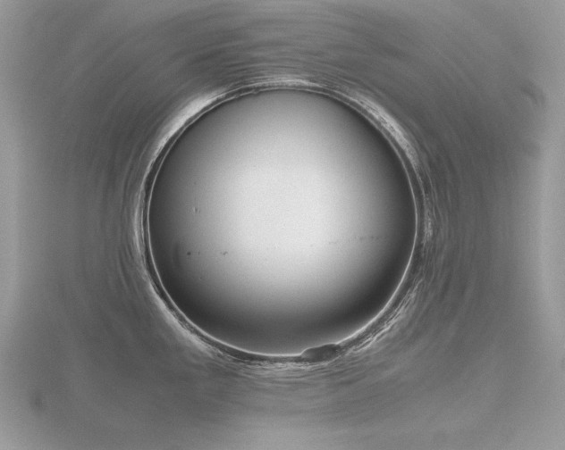 X0000116561293200912101442