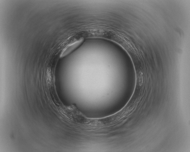 X0000116561298200912101441