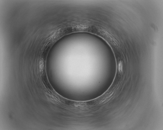 X0000116561299200912101441
