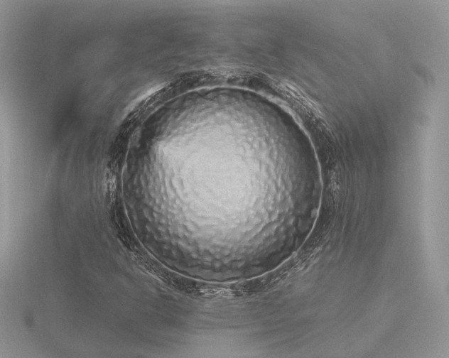 X0000116561302200912101441