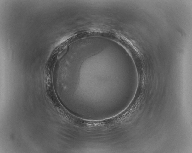 X0000116561303200912101441