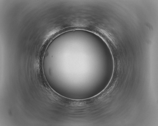 X0000116561307200912101441