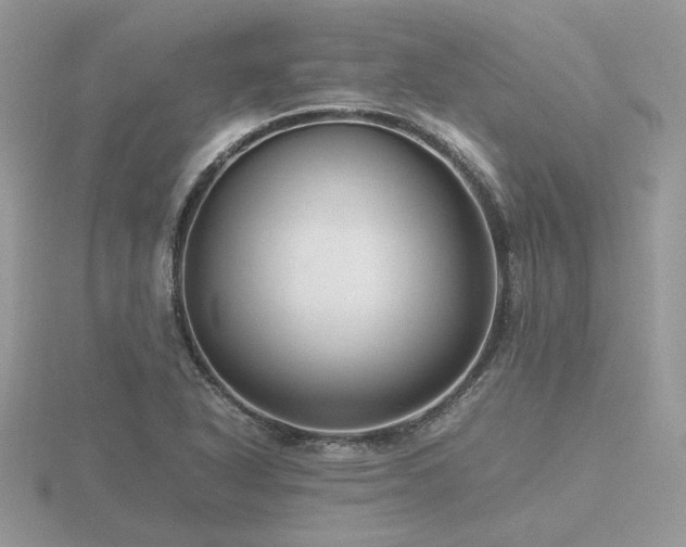 X0000116561318200912101441