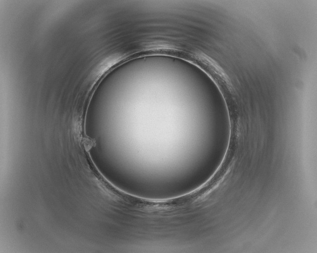 X0000116561321200912101441