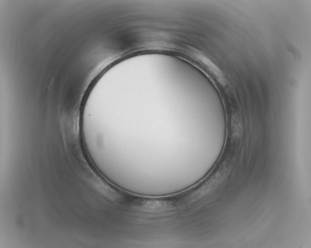 X0000116561322200912101441