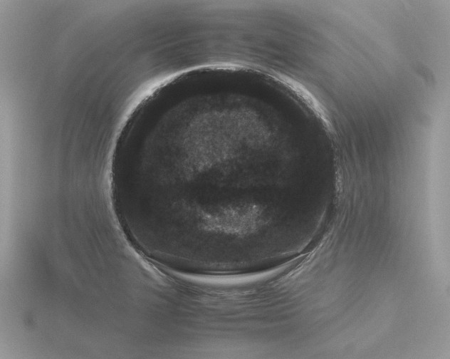 X0000116561327200912101441