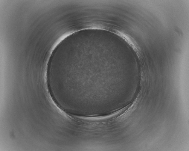 X0000116561331200912101442