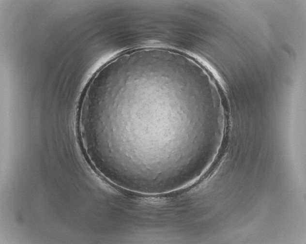 X0000116561333200912101442