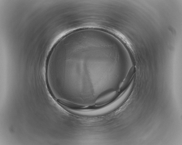 X0000116561334200912101442