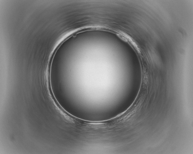 X0000116561343200912101442