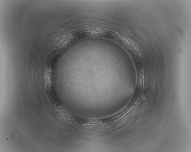X0000116561346200912101441