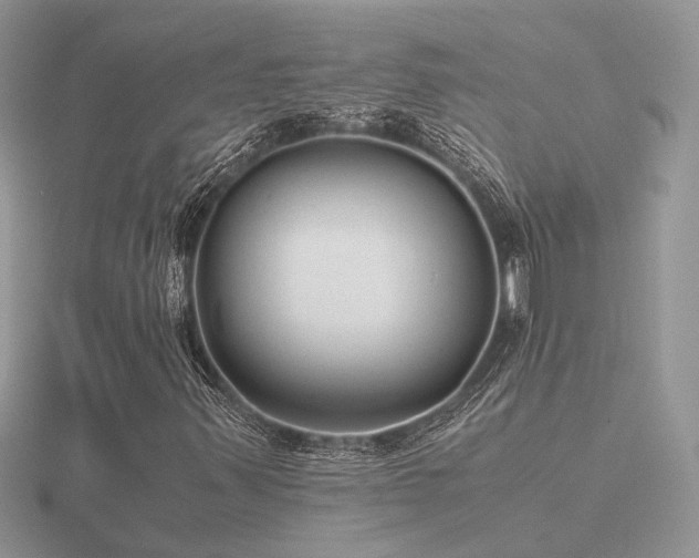 X0000116561347200912101441