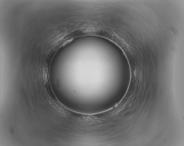 X0000116561348200912101441