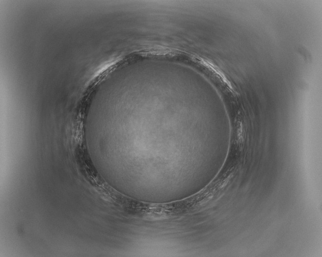 X0000116561350200912101441