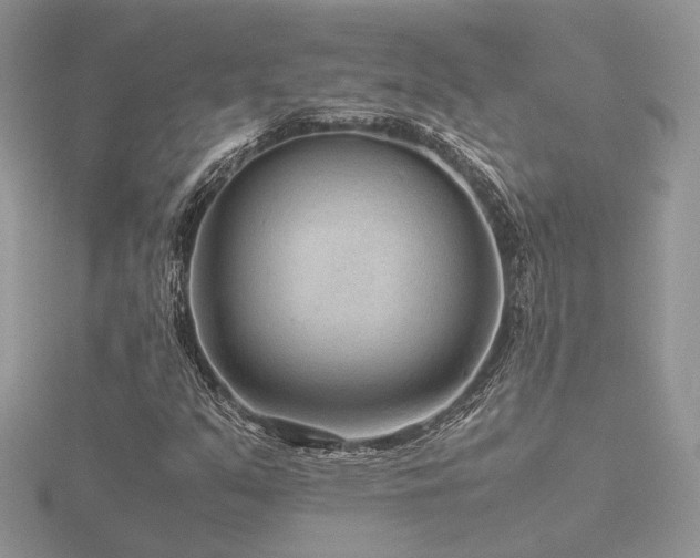 X0000116561351200912101441