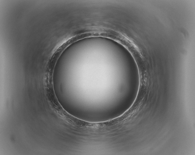 X0000116561352200912101441