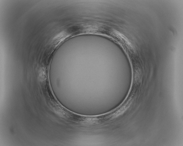 X0000116561353200912101441