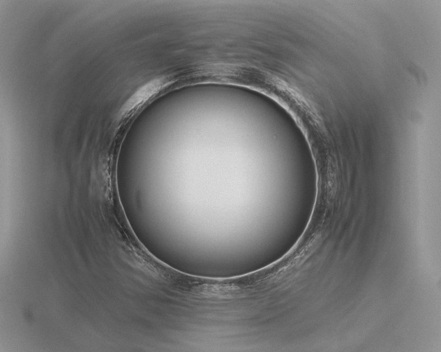 X0000116561354200912101441