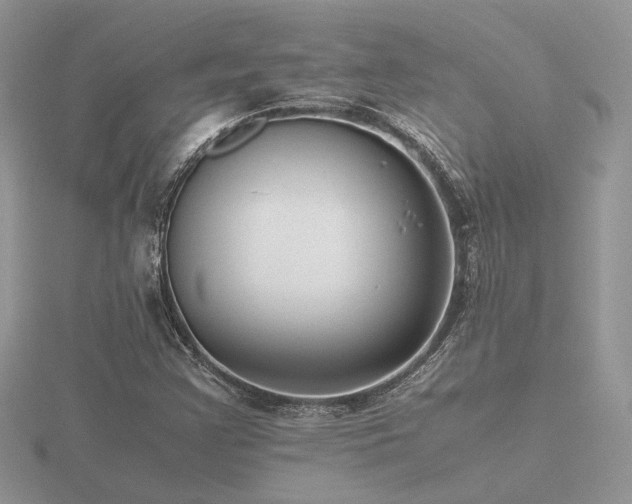 X0000116561355200912101441