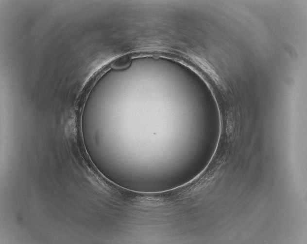 X0000116561356200912101441