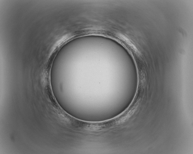 X0000116561357200912101441