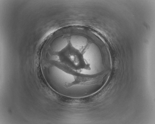 X0000116561359200912101441