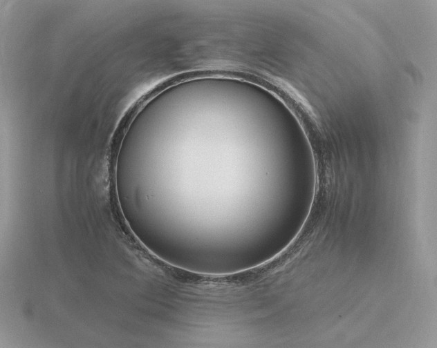 X0000116561364200912101441