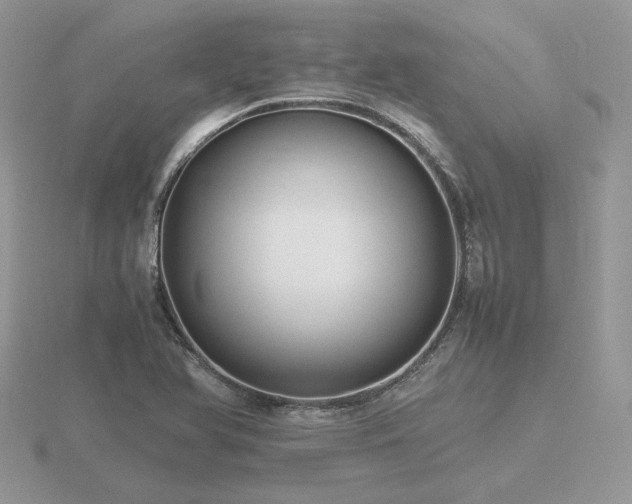 X0000116561366200912101441