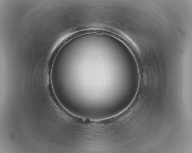 X0000116561368200912101441