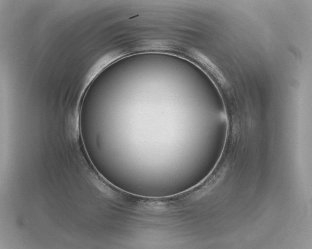 X0000116561370200912101441