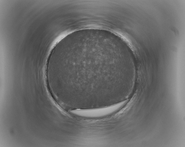 X0000116561373200912101441