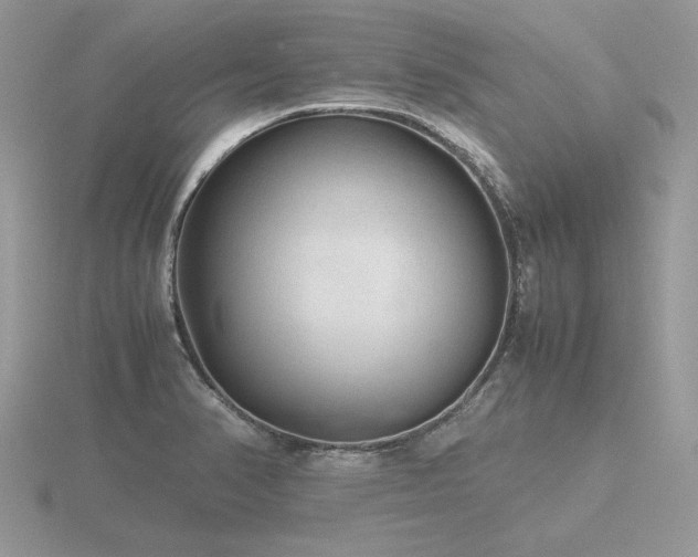 X0000116561374200912101441