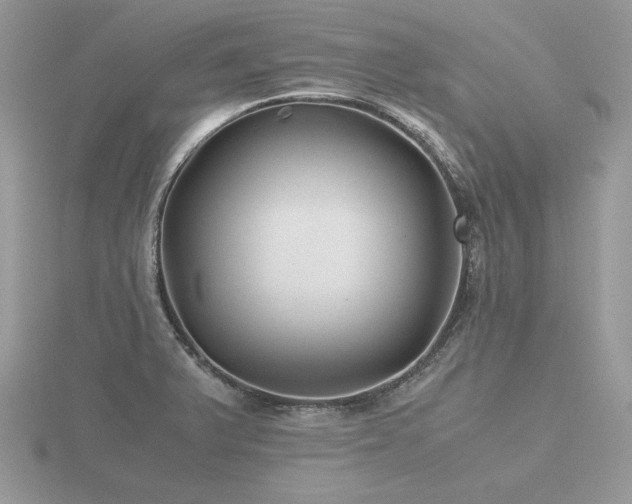 X0000116561375200912101441