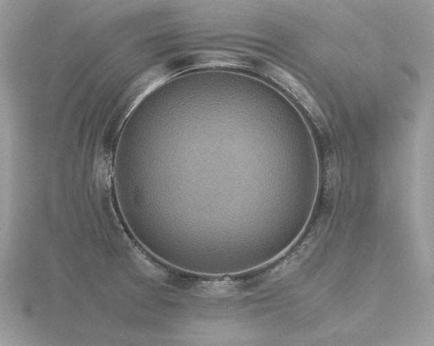 X0000116561377200912101441