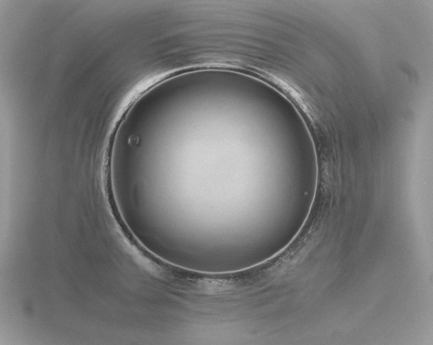 X0000116561379200912101441