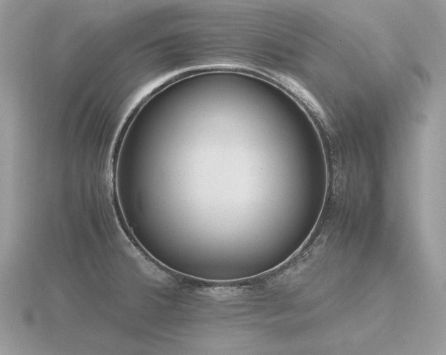X0000116561380200912101440