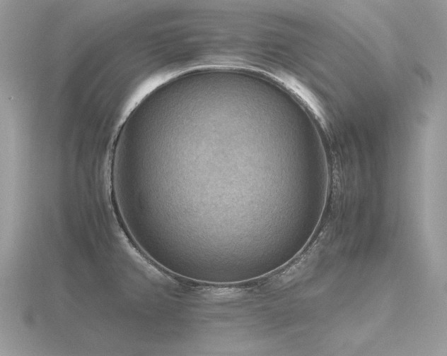 X0000116561382200912101440