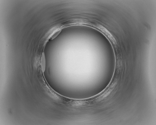 X0000116561385200912101440