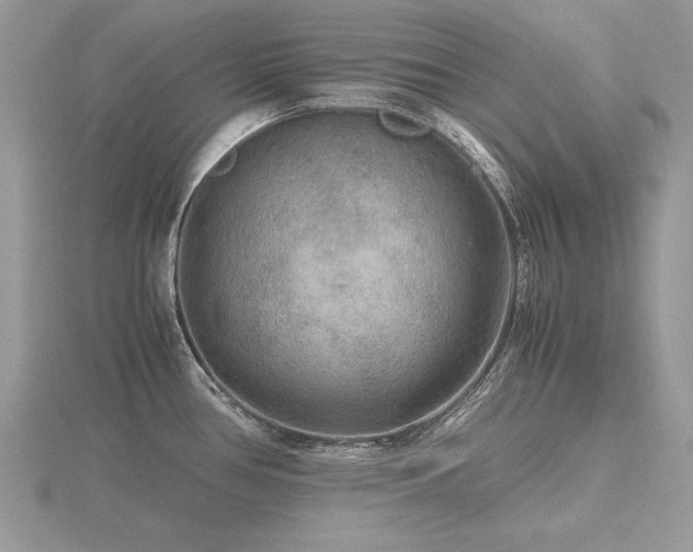 X0000116561386200912101440
