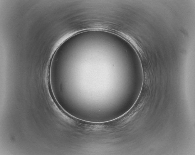 X0000116561387200912101440