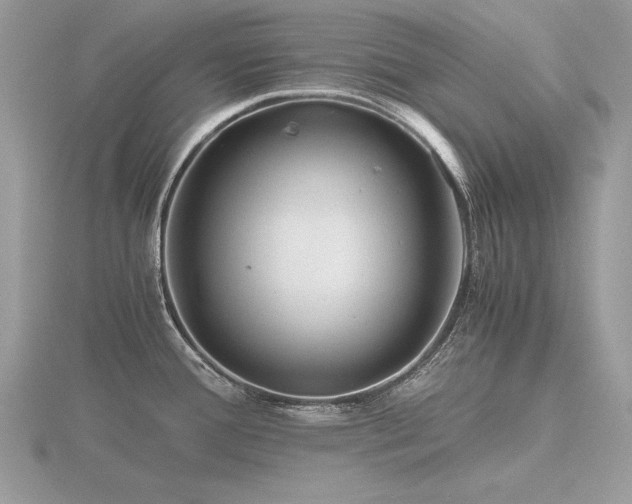 X0000116561388200912101440