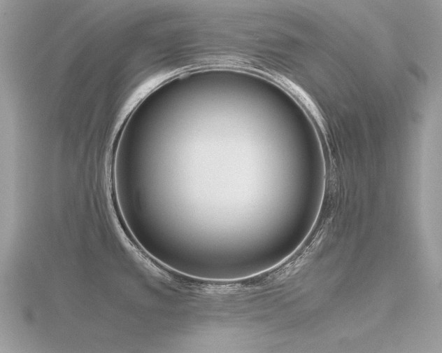 X0000116561389200912101440